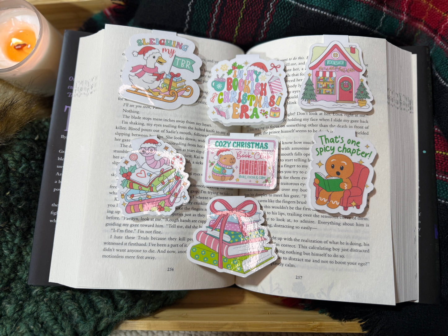 Spicy chapter magnetic bookmark