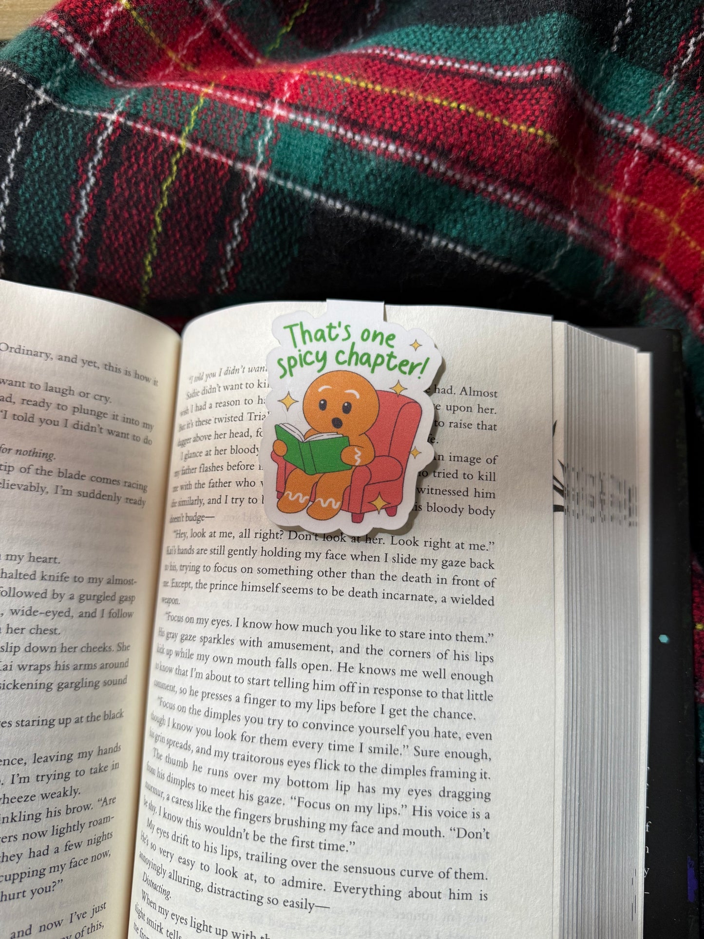 Spicy chapter magnetic bookmark