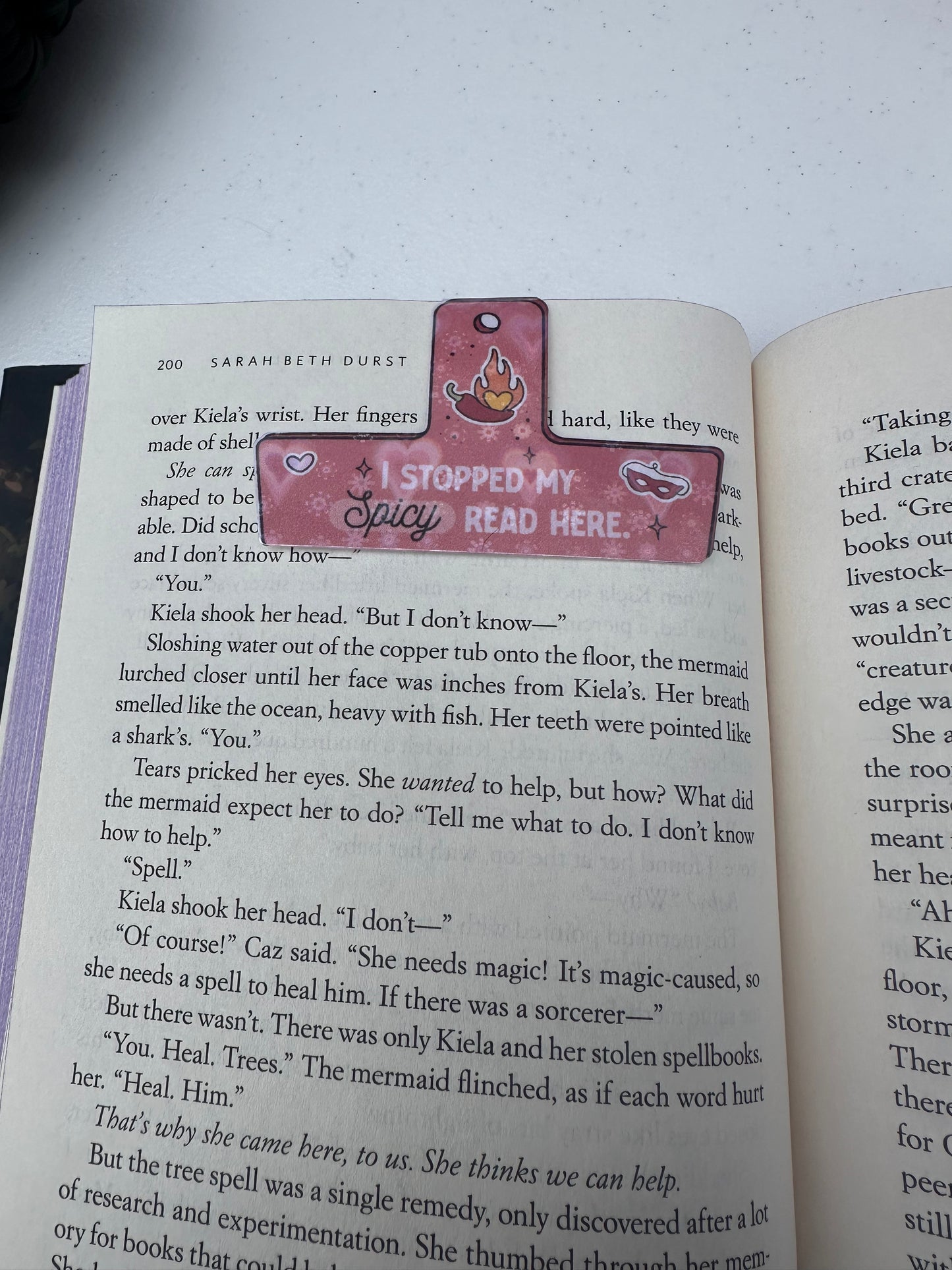 Spicy chip clip magnetic bookmark