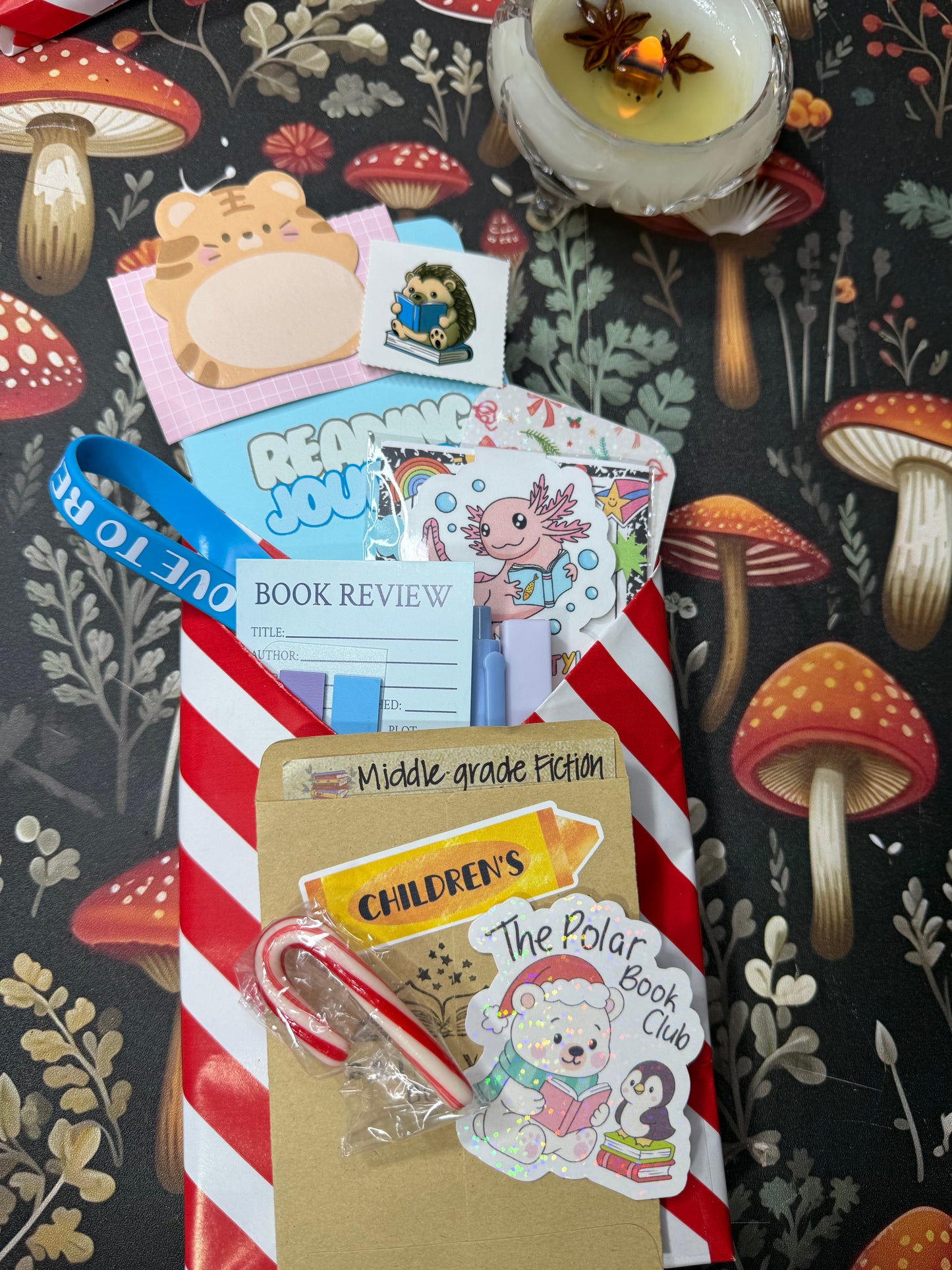 Youth blind date with a book