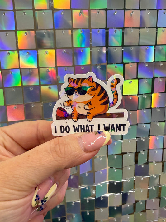 Do what I want sticker