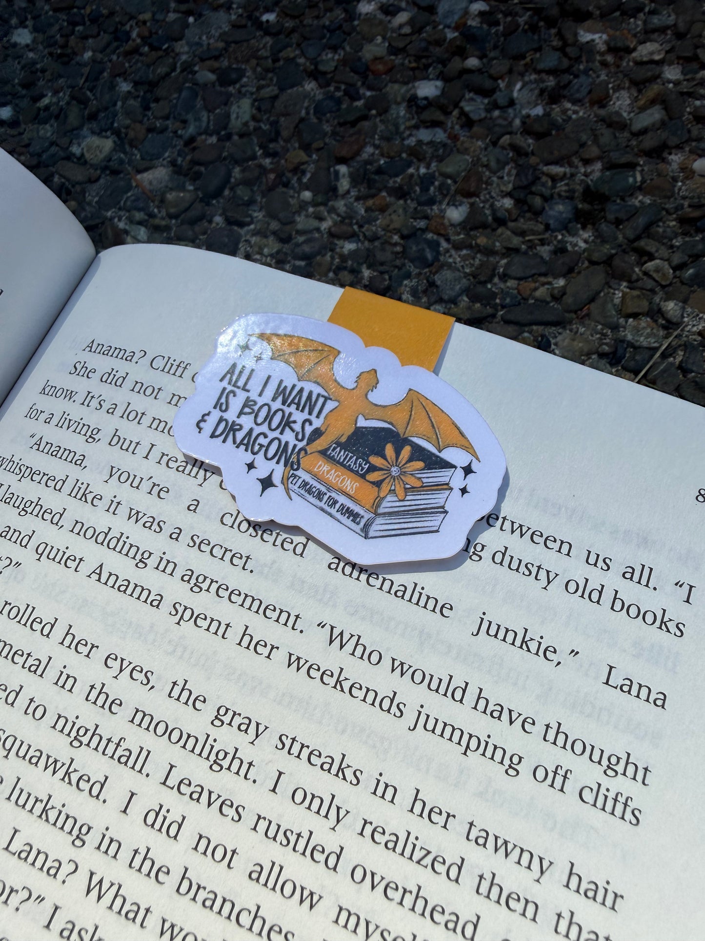 Books & Dragons Magnetic Bookmark