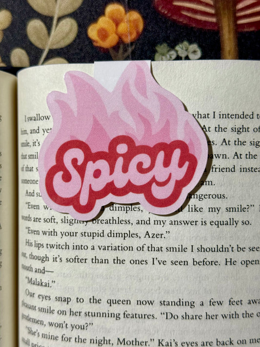 Spicy magnetic bookmark